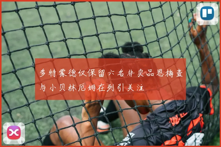 多特蒙德仅保留六名非卖品恩梅查与小贝林厄姆在列引关注