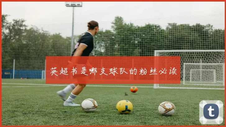 英超书是哪支球队的粉丝必读